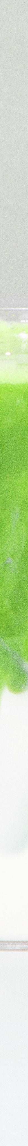 image of rockys-matcha-blue-tin-6_2c22488f-5e42-46e6-8ab7-a2ea3f379fc3_1024x1024