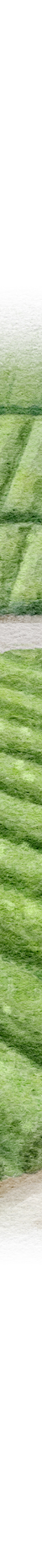 image of Hachiju-Hachiya-grid-01-01_1024x1024