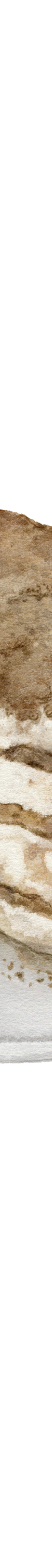 image of Houjicha_Tiramisu_Master-Grid-01_112b0f0c-d6e2-455d-ae03-94fa48e2a562_1024x1024