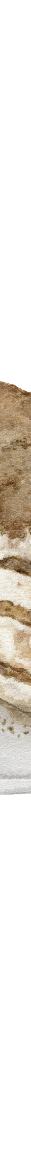 image of Houjicha_Tiramisu_Master-Grid-01_112b0f0c-d6e2-455d-ae03-94fa48e2a562_1024x1024