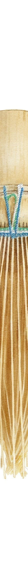 image of whisk_e7070503-e4ca-4f8b-9f5c-b09038f8db2a_1024x1024