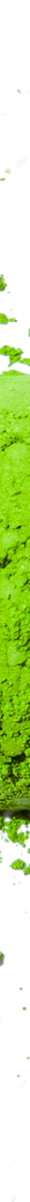 image of 15Rocky_sMatchaFeb2024-stoneisland_1024x1024