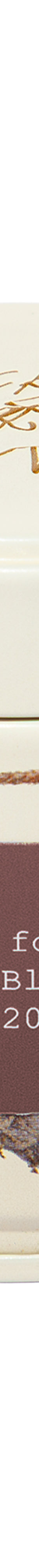 image of 20gDreamin_Man1_1024x1024
