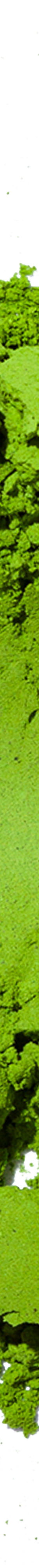 image of 20gDreamin_Man4_1024x1024
