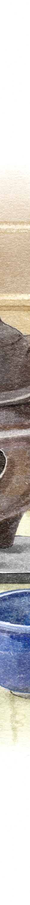 image of 3-new_1024x1024