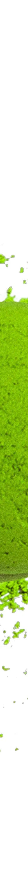 image of 4_1c83da8b-03f4-4e8b-acd1-a4047ef84029_1024x1024