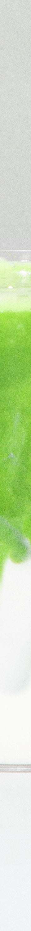 image of 6_2d5f981c-94ee-40ea-9b0b-851663534a5e_1024x1024