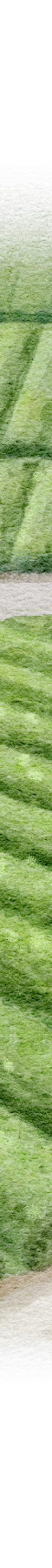 image of Hachiju-Hachiya-grid-01-01_1024x1024