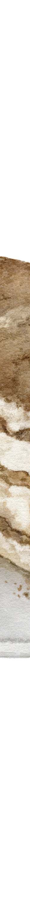 image of Houjicha_Tiramisu_Master-Grid-01-01_1024x1024