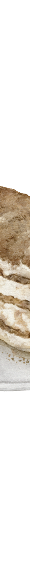 image of Houjicha_Tiramisu_Master-Grid-01_1024x1024