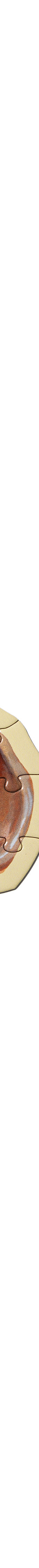image of Puzzle3_1024x1024