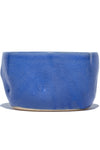 image of RadBowl2