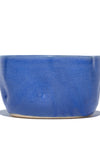 image of RadBowl2
