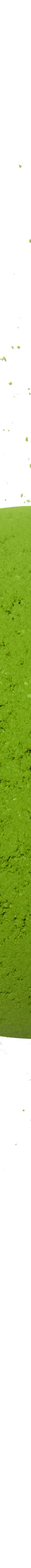 image of Saie20g00002_1024x1024