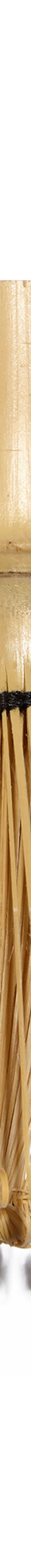 image of Saie_Essentials_Kit00009_1024x1024