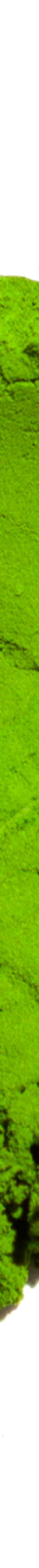 image of UjiPremiumBlendMatcha100g2_1024x1024