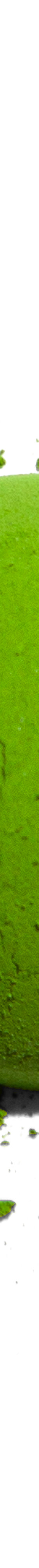 image of UjiPremiumBlendMatcha100g4_1024x1024
