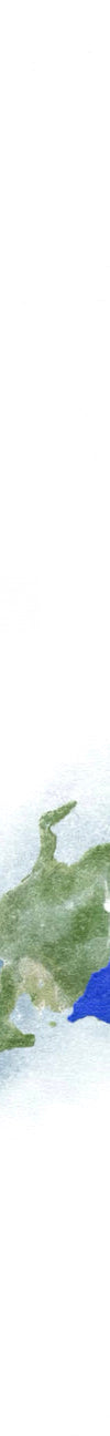 image of matcha_history-02_1024x1024