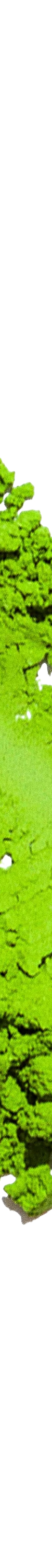 image of rocky_smatchaCeremonialBlendMatcha20g2_1024x1024
