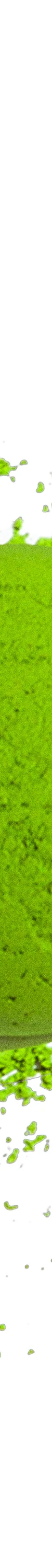image of rocky_smatchaCeremonialBlendMatcha20g4_1024x1024
