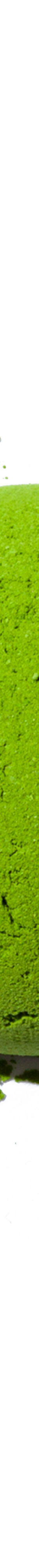 image of rocky_smatchaHoriiShichimeienCeremonialBlend20g4_c625081e-bb41-4f4e-a4ec-333f573c8f6a_1024x1024