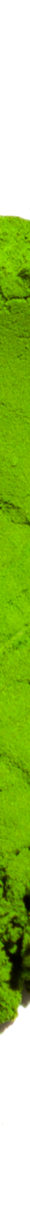 image of rocky_smatchaUjiPremiumBlendMatcha2_1024x1024