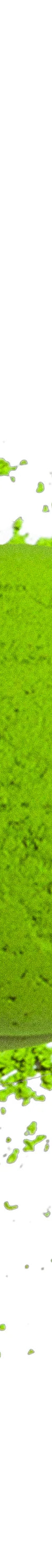image of rockys-matcha-blue-tin-3