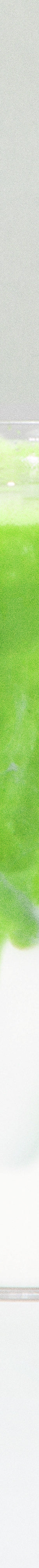 image of rockys-matcha-blue-tin-6_1024x1024