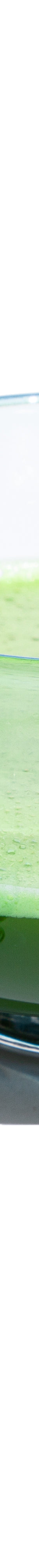 image of rockys-matcha-tyler-barry-design-00_1024x1024
