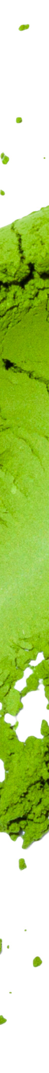 image of saeakar-Rocky_sMatcha_May2024_Photo_Round100026_1024x1024